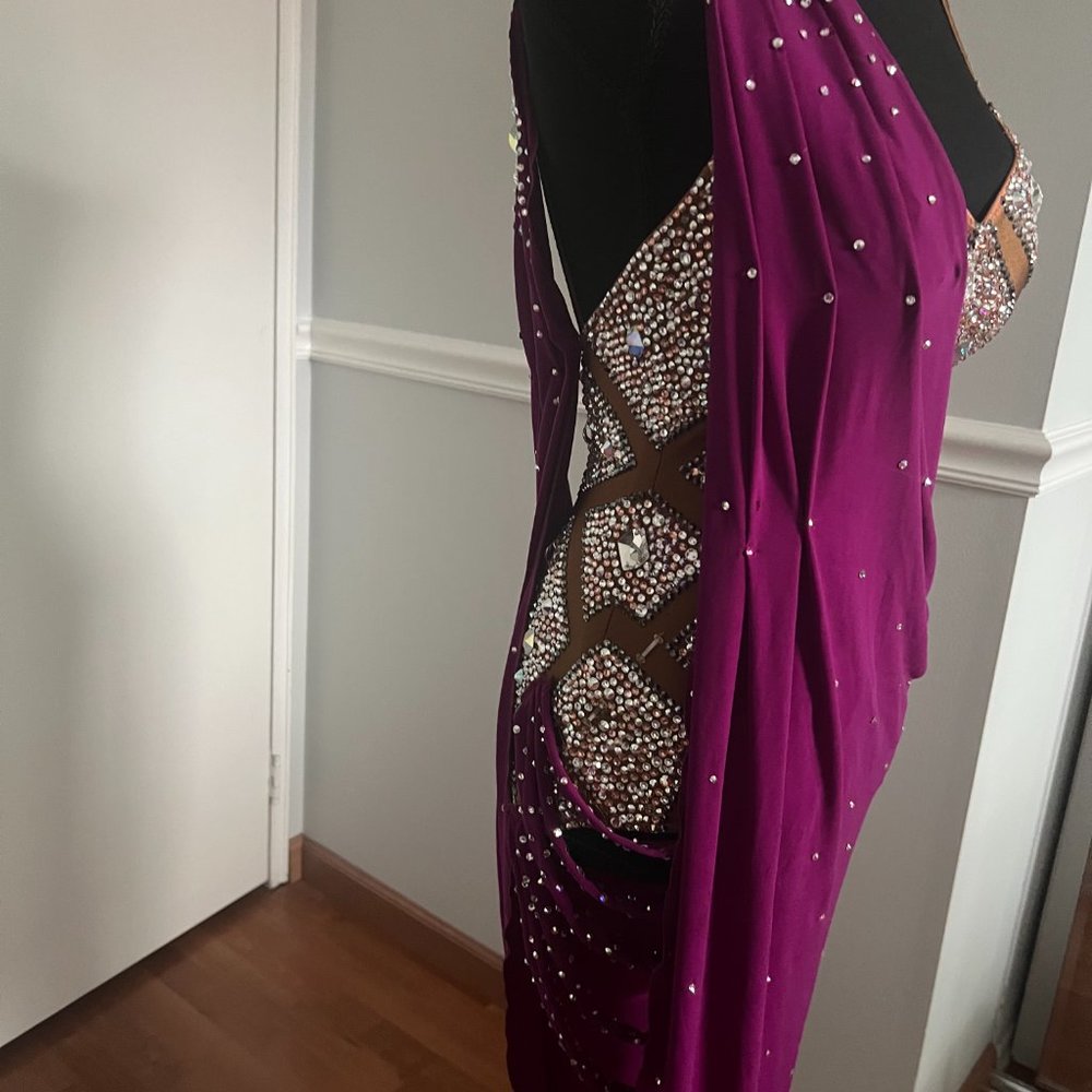 Latin Ballroom Dance Dress - Picture 3 of 16